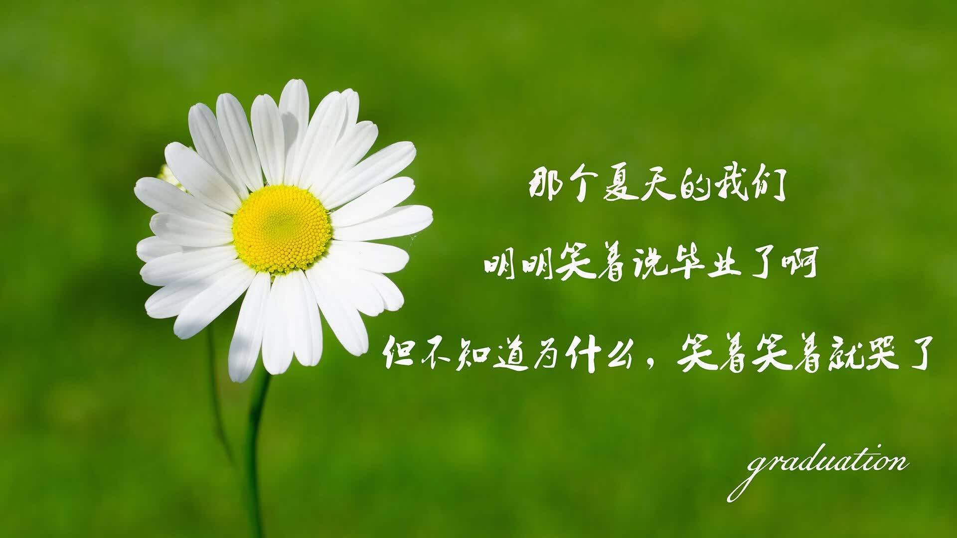 2026年体育AI翻译：机器能译好体育术语吗？，体育翻译是什么专业
